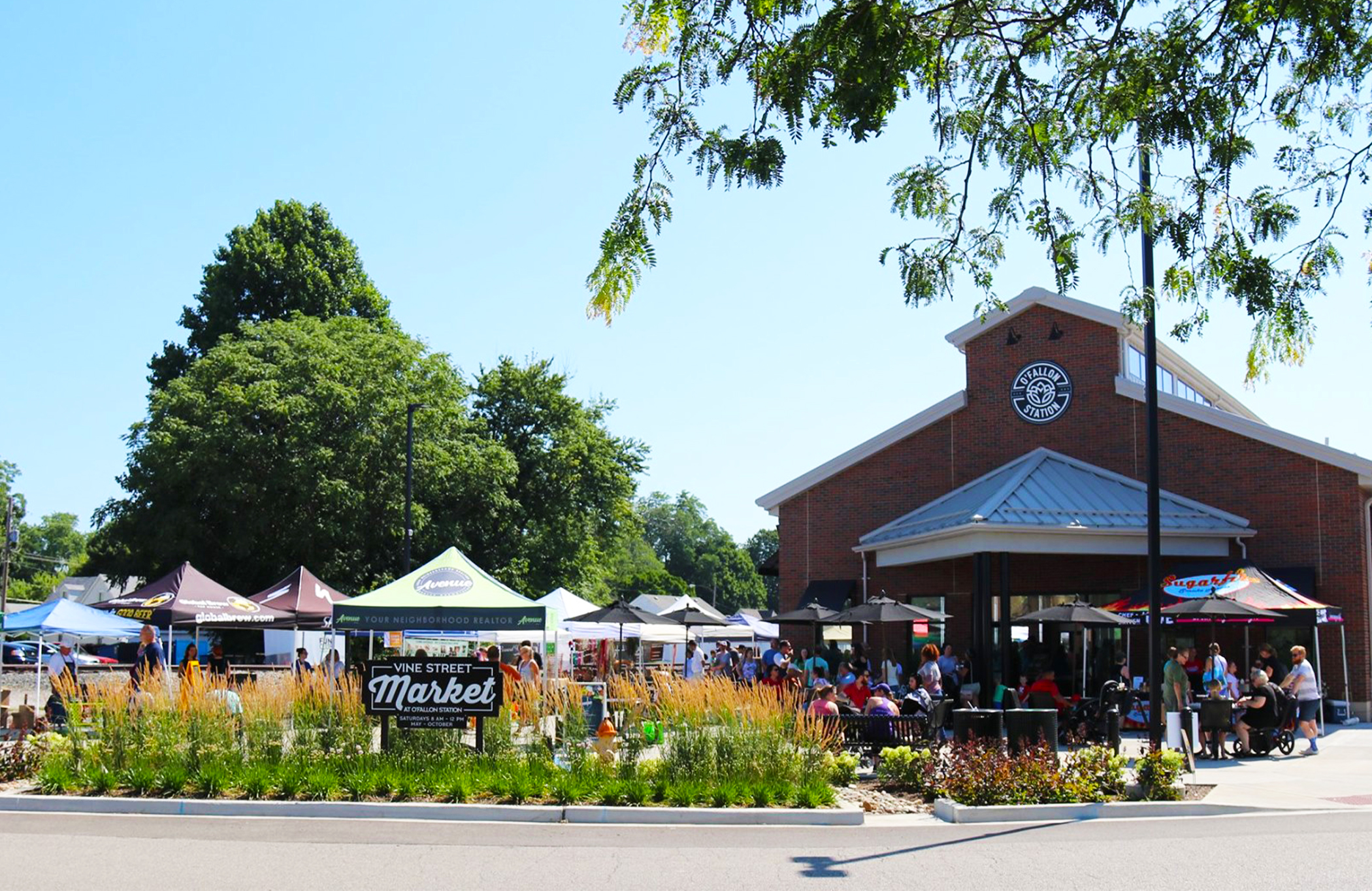 Vine Street Market Micro Markets